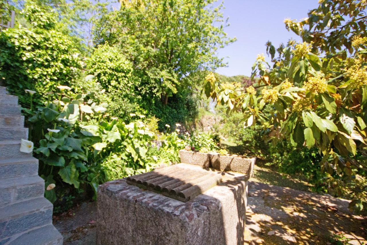 Fattorialmare Blu Apartman Camogli Kültér fotó